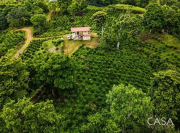 Terreno / Lote , La Pintada · Extensa y Versátil Finca Cafetalera en Venta en El Cascajal, La Pintada, Coclé