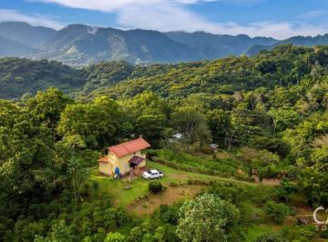 Terreno / Lote Venta 1039778m² · Extensa y Versátil Finca Cafetalera en Venta en El Cascajal, La Pintada, Coclé