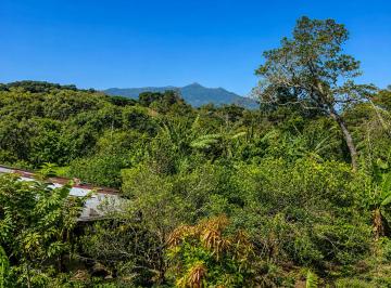 Terreno / Lote , Boquete · Terreno Plano con Café y Vistas a Las Montañas en Venta en Palmira, Boquete