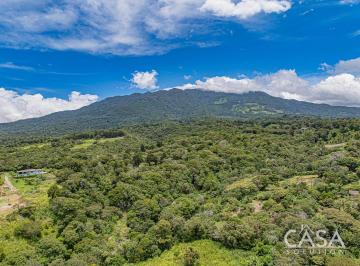 Terreno / Lote , Boquete · Terreno Plano con Café y Vistas a Las Montañas en Venta en Palmira, Boquete