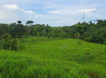 Terreno / Lote , Bugaba · Venta, Finca 4.5ha, Santa Rosa, Camaron, Bugaba, Chiriquí