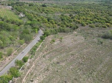 Finca , Natá · Venta de Finca en Natá, Los Olivos, Coclé, 210 Hectáreas