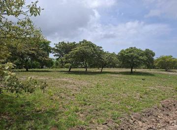 Terreno / Lote · 1000m² · Venta Lote Chame 1000 m² Completamente Planos