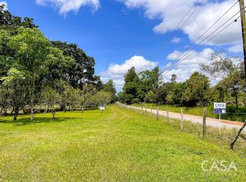 Terreno / Lote , Dolega · Hermoso Terreno en Venta en Potrerillos Abajo, Dolega, Chiriquí
