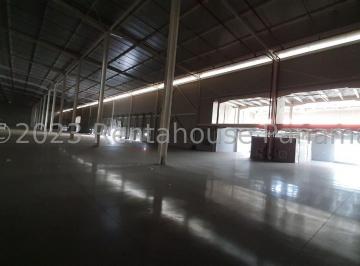 Bodega-Galpón-Depósito , Panamá · Amplia Galera en Venta en Pacora