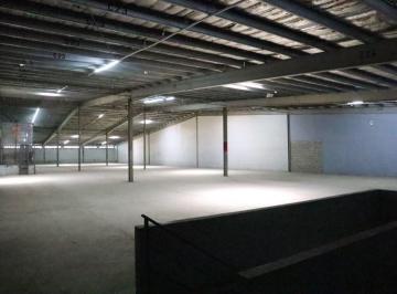 Bodega-Galpón-Depósito , Zona Libre · Bodega en Alquiler en Zona Libre de Colón – France Field | 3,900 m² | $4.00/m²