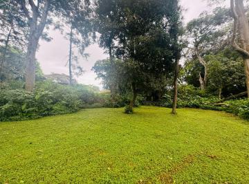 Terreno / Lote · 7075m² · Venta de Terreno en Av Belisario Porras, David, Chiriquí.