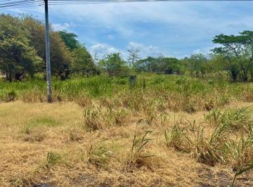 Terreno / Lote , Antón · Lote con Frente de Carretera Panamericana en Anton
