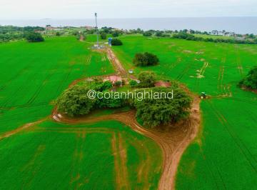 Finca , Pedasí · Alquiler o Venta Finca de 121 Ha en Pedasi