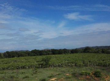 Terreno / Lote , Los Santos · Venta Terreno en Los Santos PH Finca 24vca10748
