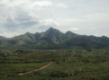 Finca , Natá · Finca de 19.5 Hectáreas en Venta en Toza, Natá – Gran Oportunidad de Inversión