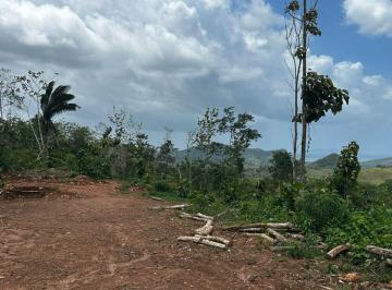 Finca , Capira · Finca de 9 Hectáreas en Cerro Cermeño, Capira | Vistas Panorámicas, Quebrada y Proyecto Habitacional