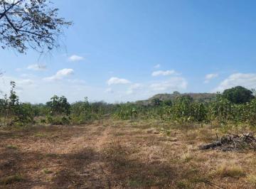 Terreno / Lote , Pocrí · Se Vende Terreno de 15.5 Hectáreas, Pocrí / Paritilla, Las Tablas