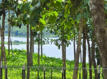 Terreno / Lote , La Chorrera · *¡últimas 3 Oportunidades en Green Dream Pty!*.lotes en La Chorrera $500/mes Sin Abono y Interes.