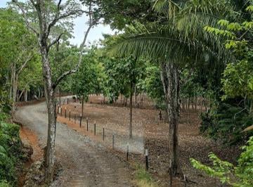 Terreno / Lote , La Chorrera · ¡Solo Quedan 3 Lotes!.proyecto de 60 Lotes Financiados Sin Abono y Interes $250 Quincenal