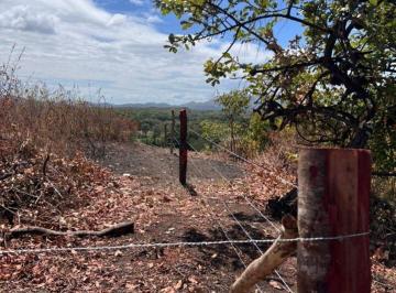 Terreno / Lote en Venta  La Pintada · Vendo Terreno por Colorado, con Buena Vista