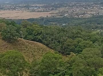 Terreno / Lote , Boquete · Vendo 1 Hectáreas de Alto Boquete. 40 X Metro