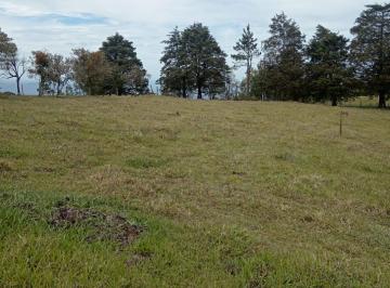 Terreno / Lote , Boquete · Vendo Lote en Boquete, Jaramillo, 4,000 m². $55 El. Metro.
