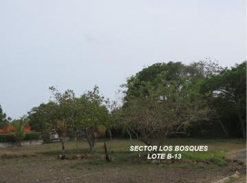 Terreno / Lote , Chame · Terreno en Venta en Playa Coronado – Calle El Jazmín | 1,335.49 m²