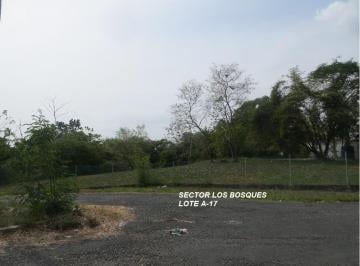 Terreno / Lote , Chame · Terreno en Venta en Playa Coronado – Calle Llang Llang | 1,833.57 m²