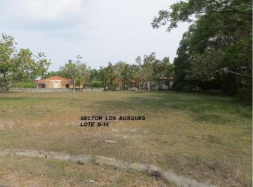 Terreno / Lote , Chame · Terreno en Venta en Playa Coronado – Calle El Jazmín | 1,412.54 m²