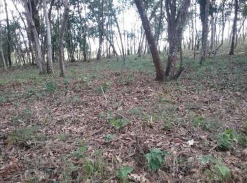 Terreno / Lote , La Chorrera · Venta de Terreno en Chorrera Ddb25 - 7520