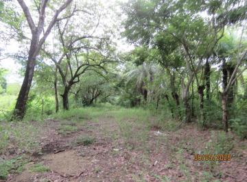 Finca · 54225m² · Vendo Finca en David, Chiriqui a un Minuto del Federal Mall