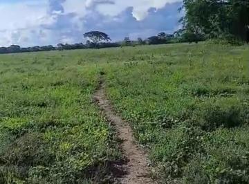 Finca · 850000m² · Vendo Finca Plana en Antón Ideal Para Ganadería