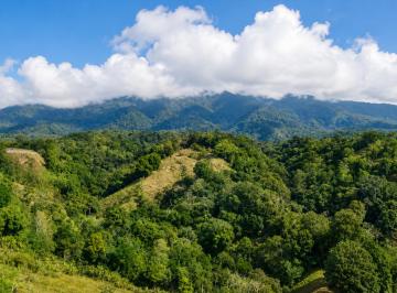 Terreno / Lote , Boquete · Plantación Cafetera de 18 Hectáreas en Venta en Potrerillos Arriba, Chiriquí, Panamá