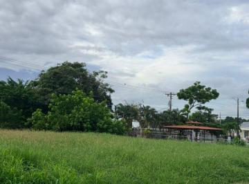 Terreno / Lote , San Miguelito · Terreno en Venta en Brisas del Golf / Palmeras del Golf 262.50 m²