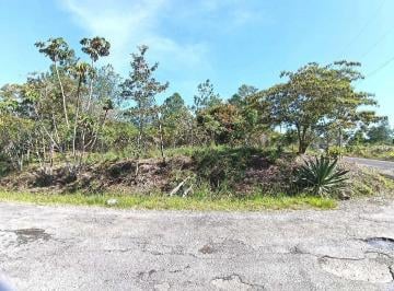 Terreno / Lote · 1502m² · Vendo Lote de 1502 m Bqt