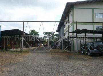 Bodega-Galpón-Depósito , Panamá · Galera en Venta en Chilibre Centro