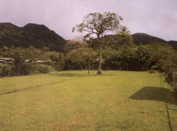 Terreno / Lote · 1384m² · Venta de Terreno en Valle de Anton