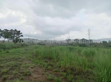 Terreno / Lote , Panamá · Vendo Terreno en Pedregal Orilla del Corredor