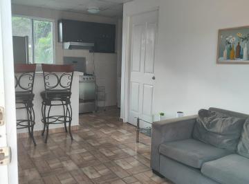 Apartamento · 42m² · 1 Recámara · 1 Estacionamientos · Alquiler de Apartamento en Clayton Calle Papaya