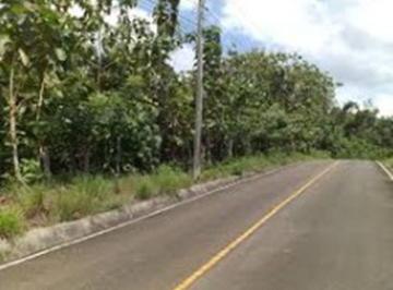 Terreno / Lote , Arraiján · Terreno en Arraijan – Chapala: 1,8 Hectáreas, Plano