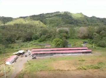 Terreno / Lote , Colón · ¡Gran Oportunidad de Inversión! Vendo Finca de 50 Hectáreas en Buena Vista –