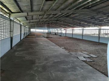 Bodega-Galpón-Depósito , Panamá · Venta Galera Rio Abajo