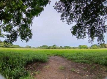 Finca · 500000m² · 1 Recámara · Vendo. Finca 50ha con Agua Viva Bugaba