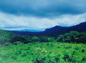 Terreno / Lote · 150000m² · Venta de Lote en Chame, Bejuco