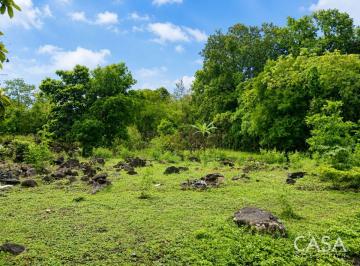 Terreno / Lote , Boquete · Lote Plano de 5,760 m² en Venta en El Francés, Boquete, Chiriquí