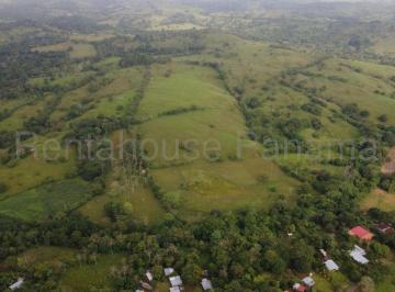 Terreno / Lote , La Chorrera · Venta de Terreno en Chorrera Ddb26 - 6802