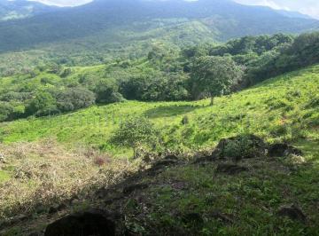 Terreno / Lote , Panamá · Vendo Finca Agropecuaria de 1,200,000 m² en Pacora 26 - 8978gg