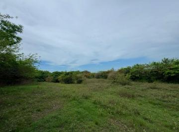 Terreno / Lote , San Carlos · Venta de Finca de 9.9 Hectáreas Cerca de Playas y Montañas en El Higo, San Carlos