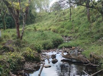 Finca · 280000m² · Vendo Finca Titulada 28 Hect en La Estrella de Bugaba