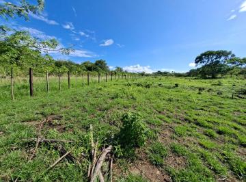 Terreno / Lote , San Carlos · Exclusiva Propiedad de 2.6 Hectáreas en Rodeo Viejo