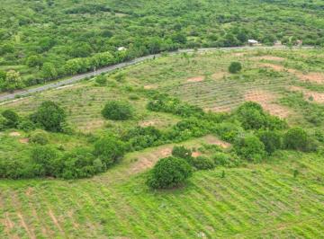 Finca , San Francisco · Venta de Finca en San Francisco, Veraguas, 200 Hectáreas
