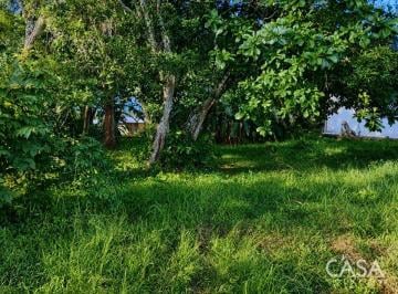 Terreno / Lote , Dolega · Lote Plano en Venta en Dolega, Chiriquí con Acceso por Carretera, Vegetación y Agua y Electricidad