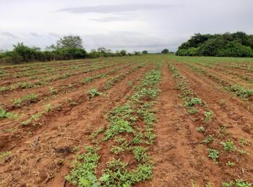 Terreno / Lote · 560000m² · Pacora Se Vende Terreno Para Siembra Hect Reas