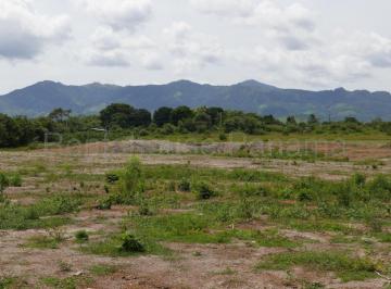 Terreno / Lote , Gorgona · Venta de Terreno en Bejuco Abs27 - 174
